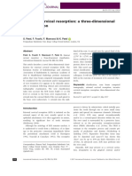 External Cervical Resorption: A Three-Dimensional Classification