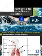 Dt9 A Influência Do Ambiente e Dos Estilos de Vida No Sistema Respiratório