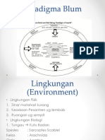 Paradigma Blum: Penyakit Scabies di Lingkungan Pesantren