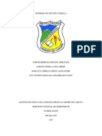 Informe Pan de Papa Criolla