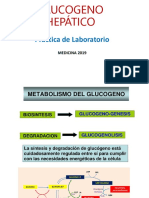 Glucogeno Hepático Practica Medicina