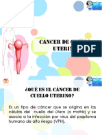 Cancer de Cuello Uterino Rotafolio