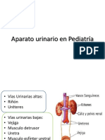 Aparato Urinario en Pediatría123