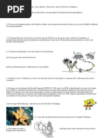 Poriferos e Cnidarios