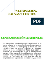 Contaminacion Ambiental