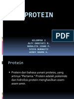 Protein PPT Revisi