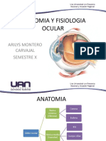 Anatomía y Fisiología Ocular