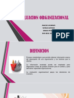 Evaluacion Organizacional