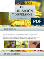 Mecanismos de Polinización y Dispersión
