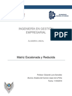 Matriz Escalonada y Reducida