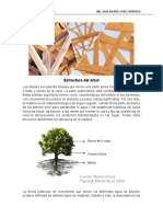 Estructura Del Árbol PDF