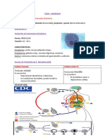 I-2 Entamoeba Histolytica