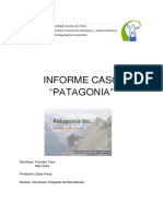 Caso Patagonia