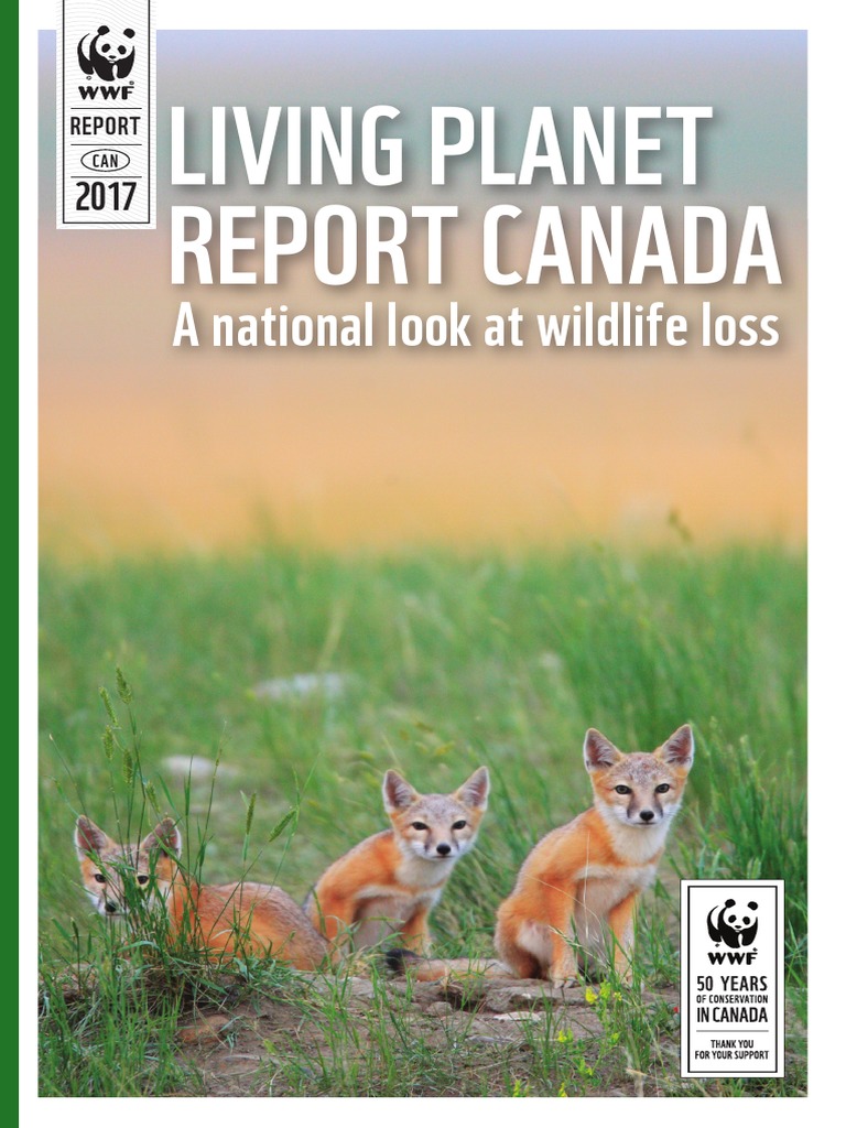 Web WWF Report v3 | PDF | Conservation Biology | Endangered Species Act ...