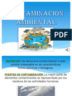 Contaminación Ambiental