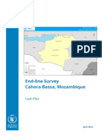 Cahora Bassa Endline Survey Report