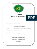 Laporan Penyuluhan Kesehatan + SAP + Materi KB (1)