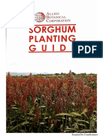 Sorghum Planting Material (1)