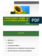 Producerea Semintei Hibride La Floarea S PDF