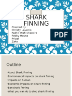 Shark Finning: Created By: Christy Lavenia Fadhil Wafi Chandra Febby Husna Prigel Zaky