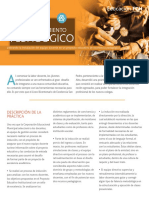 Chile_Acompañamiento_docente.pdf