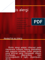 Rinitis Alergi