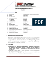 283953347-Syllabus-de-SIG.pdf