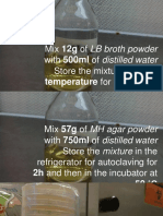 Mix 12g of LB Broth Powder With 500ml of Distilled Water Store The Mixture at Room