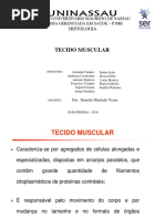 Tecido muscular