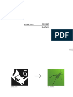 GH12 Surface 01 PDF