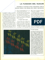 113 Ciencia Ilustrada La Funcion del Nucleo.pdf
