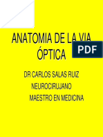 Anatomia de La Via Optica