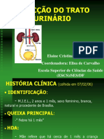infeccao-urinaria_caso-clinico.ppt
