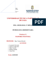 Informe Madurez Textural