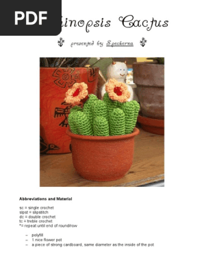 Cactus