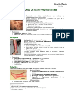 Infecciones-de-la-Piel-y-Tejidos-Blandos-Resumen.doc