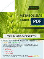 Metabolisme Karbohidrat Pertemuan 3