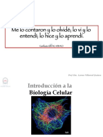 Bio Celular