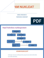 Asam Nukleat Kimia Organik 2 2019