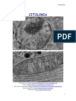 Citologia 17 - Alumnat