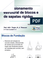 Sapats PUC.pdf