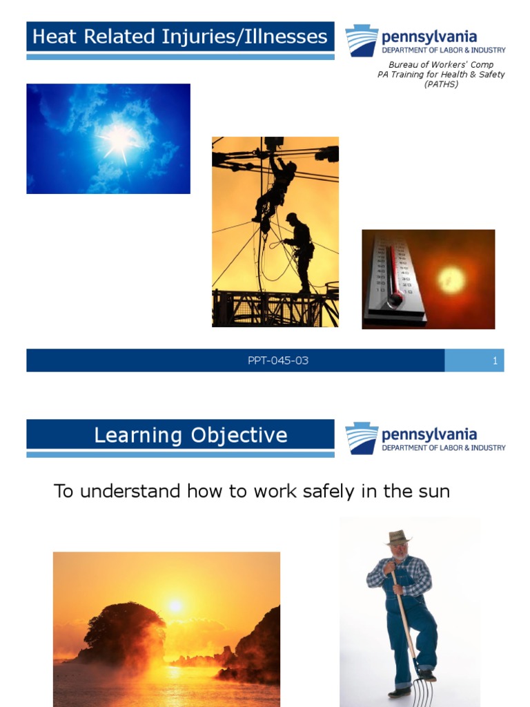 Heat Related Injuries-Illnesses | PDF | Hyperthermia | Perspiration