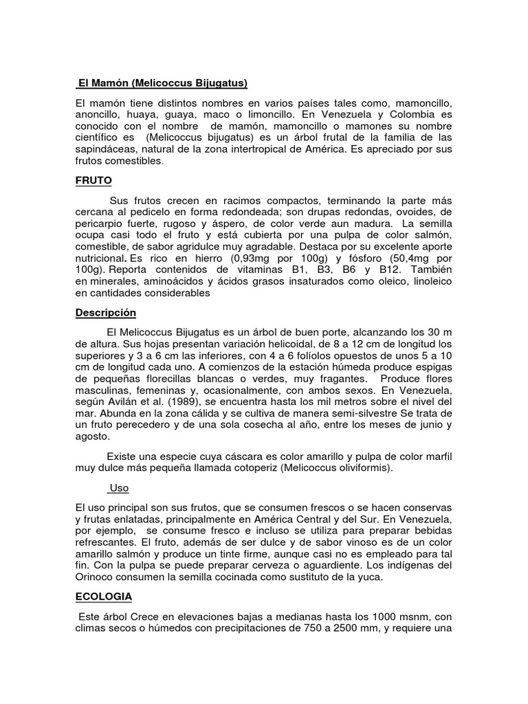 El Mamon en Venezuela | PDF | Alimentos | Plantas comestibles