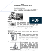 Pernapasan Manusia - Hewan