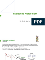 31NucleotideMetabolism PDF