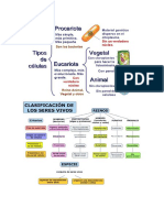 Clasificasion Seres Vivos