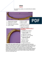 Trabajo Escrito de Imagenologia