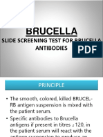 Brucella: Slide Screening Test For Brucella Antibodies