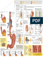 2010_reflujo_gastroesofagico.pdf