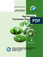 Agribisnis Tanaman Sayuran 1 2